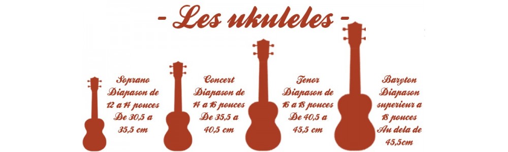 ukekele pour enfant , ukulele pour la scene ukulele professionnel music and lights reims